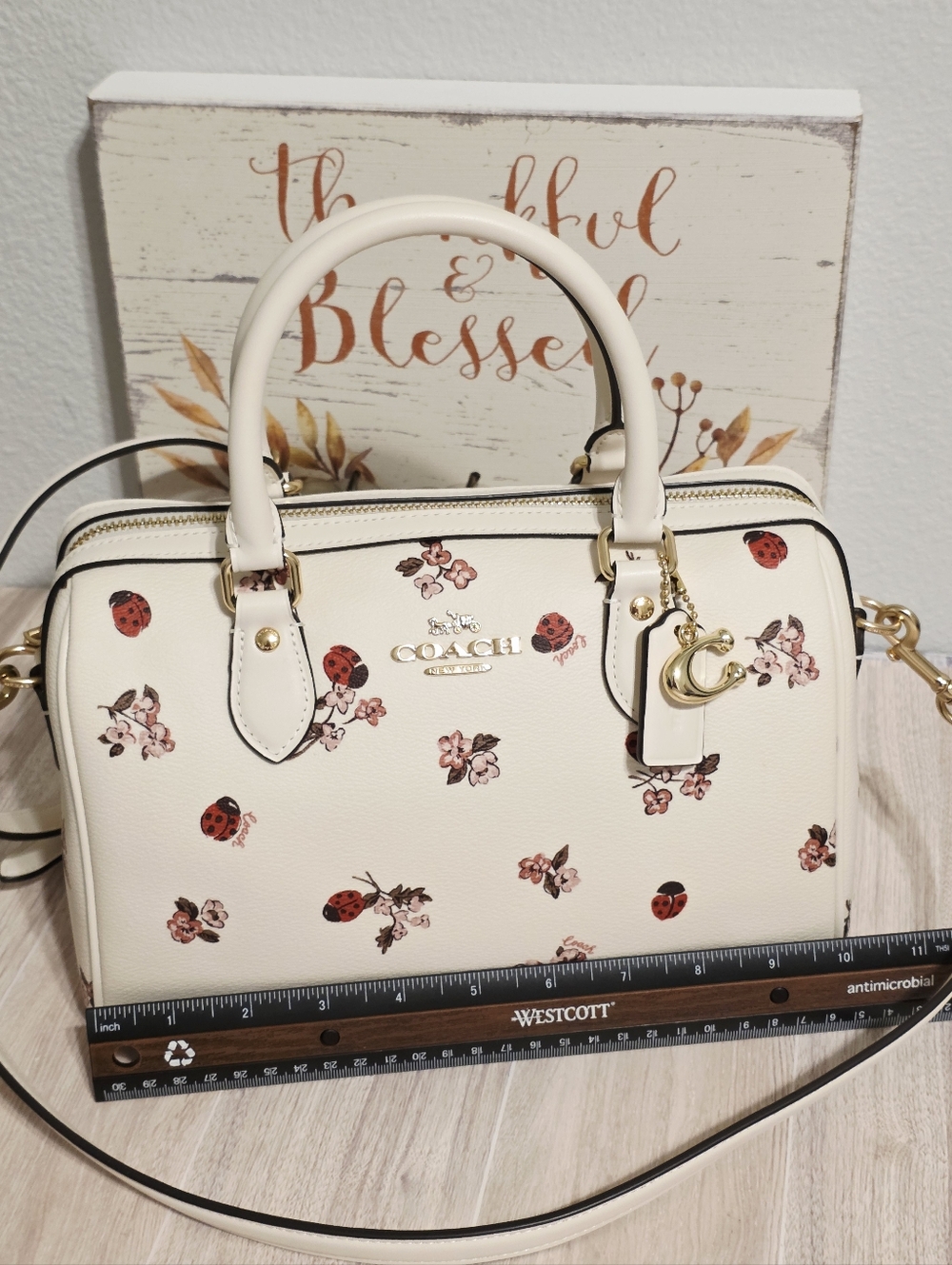 Coach RARE Rowan MEDIUM Crossbody Chalk Ladybug Floral + gold Coach C charm ๐๐ - Picture 15 of 16
